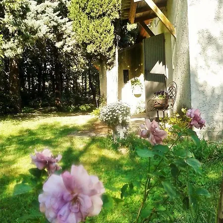 Bed & Breakfast Les Tresors De Malle Mialle *
