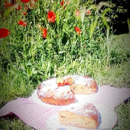 Bed & Breakfast Les Tresors De Malle Mialle Le Thor