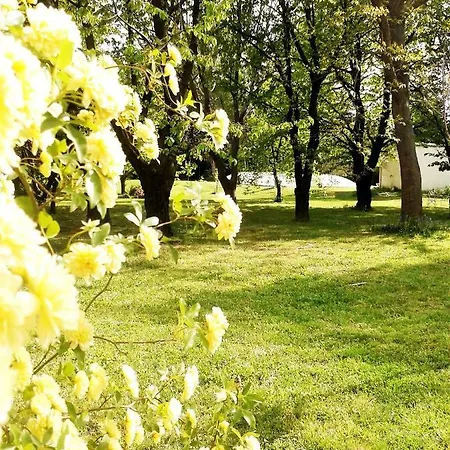 Bed & Breakfast Les Tresors De Malle Mialle Le Thor